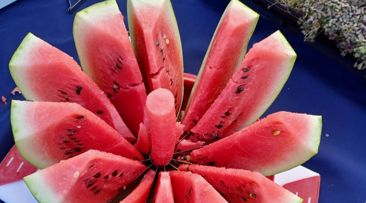 Watermelon Slices | Aquaganix Depot