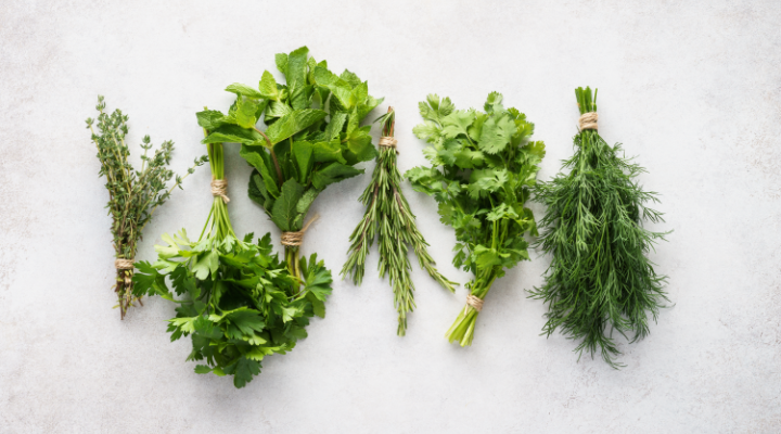 Culinary Herbs | Aquaganix Depot
