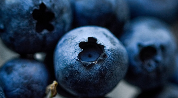 Blueberries | Close Up | Aquaganix Depot