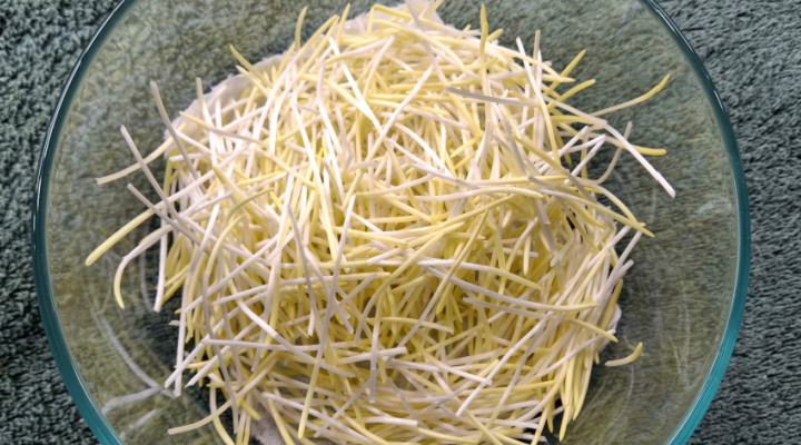 Popcorn Shoots 2 | Aquaganix Depot