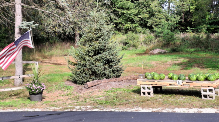 Summit Pickup Stand | Aquaganix Depot