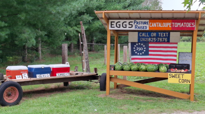 Watermelon Stand | Aquaganix Depot